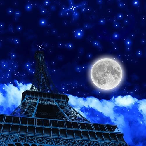Блэкаут с принтом «Ночь в Париже»